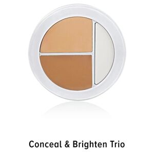 New Sealed Sheer Cover Conceal & Brighten Trio Palette In Medium/Tan